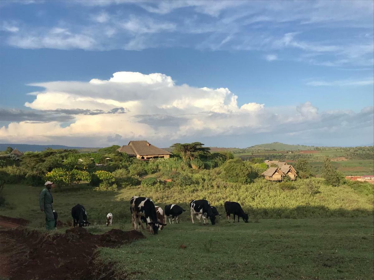 Rhotia Valley Tented Lodge And Children'S Home Karatu Bagian luar foto