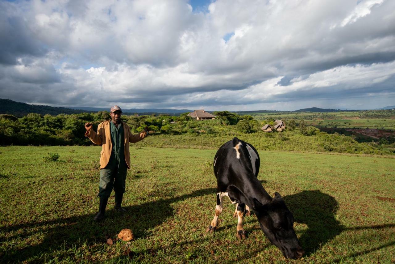 Rhotia Valley Tented Lodge And Children'S Home Karatu Bagian luar foto